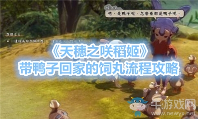 《天穗之咲稻姬》帶鴨子回家的飼丸流程攻略