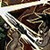 《魔獸世界》9.0射擊獵傳說之力屬性及獲取方式介紹