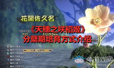 《天穗之咲稻姬》分蘗期培育方式介紹