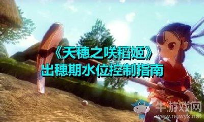 《天穗之咲稻姬》出穗期水位控制指南