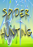 狩猎蜘蛛