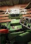 人类生活电脑版