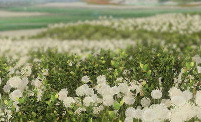 《逆水寒》畫舫佳樂奇遇攻略