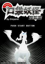 口袋妖怪：爆焰黑