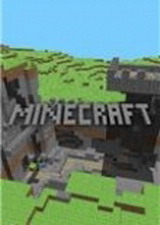 我的世界单机版 电脑版