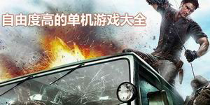 自由度高的单机游戏