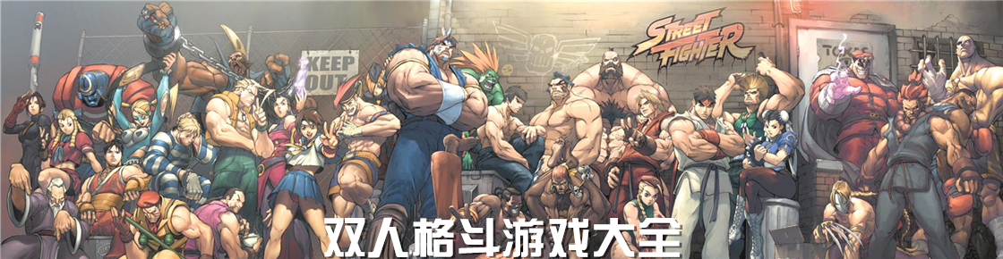 双人格斗游戏大全