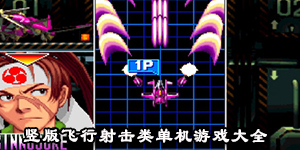 竖版飞行射击类单机游戏大全