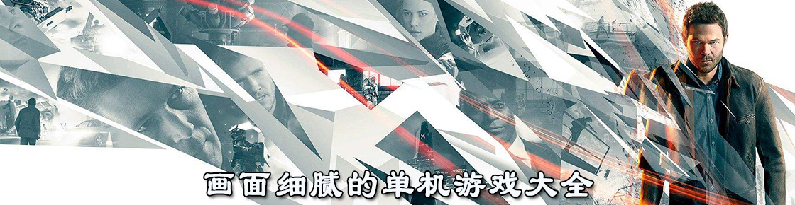 画面细腻的单机游戏大全