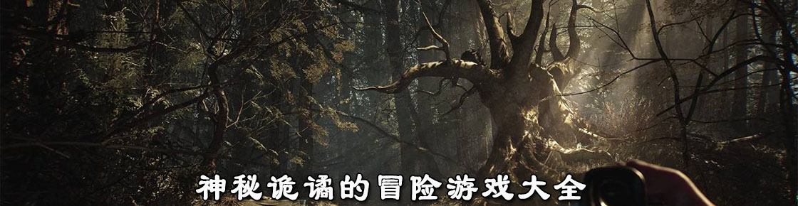 神秘诡谲的冒险游戏大全