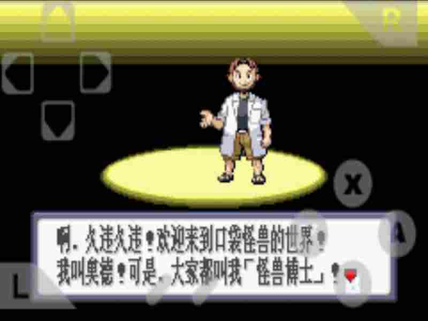 口袋妖怪红宝石 中文版