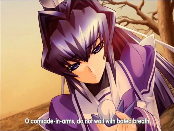 Muv-Luv Alternative steam版