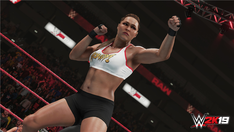 WWE 2K19 中文版