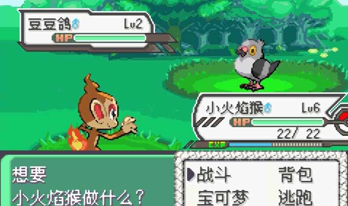 口袋妖怪：究极绿宝石vgc2019 纪念版