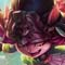 2020《LOL》12月11日半價(jià)