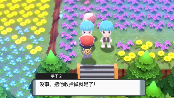 《寶可夢晶燦鉆石明亮珍珠》一周目圖文攻略分享