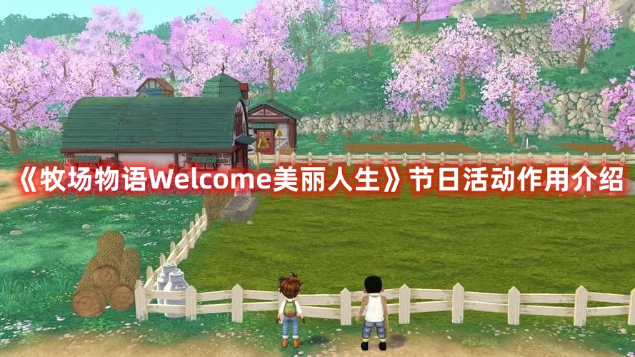 《牧場物語Welcome美麗人生》節(jié)日活動作用介紹