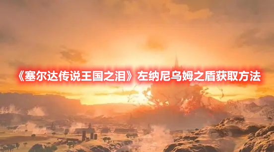 《塞爾達(dá)傳說(shuō)王國(guó)之淚》左納尼烏姆之盾獲取方法