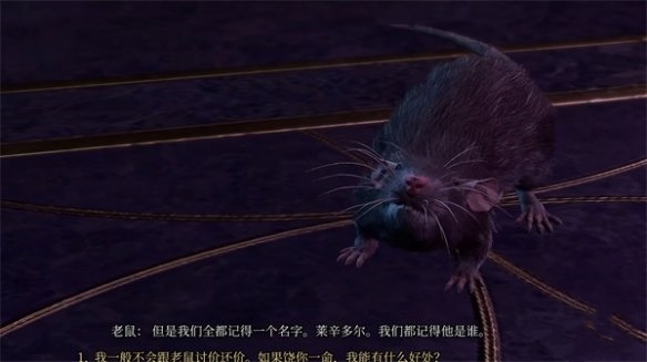 《博德之門3》莎爾鐵手神殿老鼠任務(wù)攻略