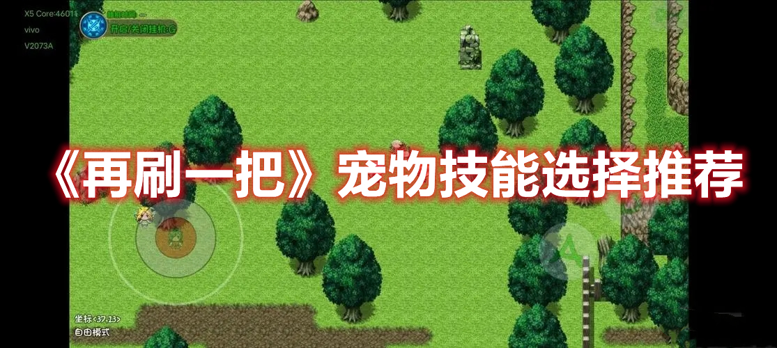 《再刷一把》寵物技能選擇推薦