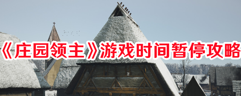 《莊園領(lǐng)主》游戲時(shí)間暫停攻略