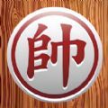 中国象棋棋逢对手最新版