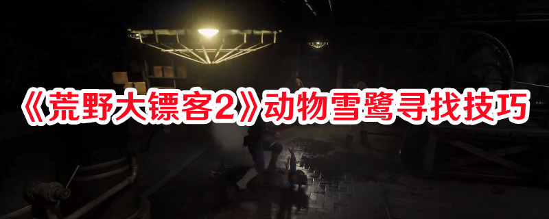 《荒野大鏢客2》動(dòng)物雪鷺尋找技巧