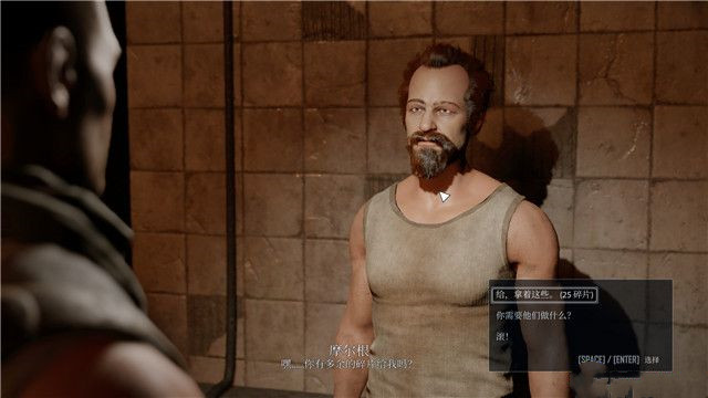 《ELEX II》游戲技巧及上手指南合集