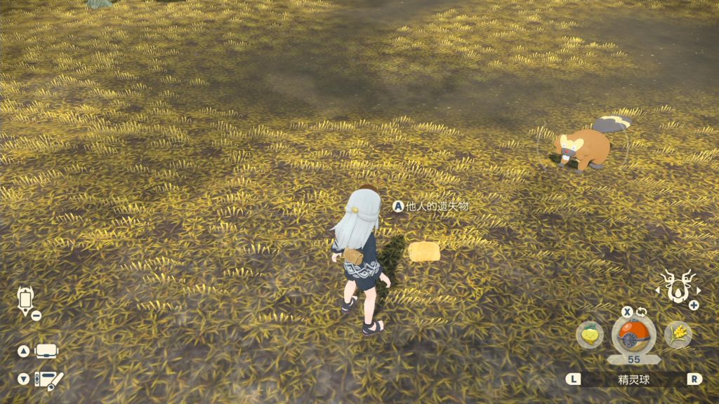 《寶可夢傳說阿爾宙斯》遺失物通訊歸還流程分享