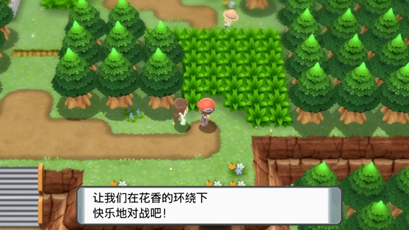 《寶可夢晶燦鉆石明亮珍珠》一周目圖文攻略分享