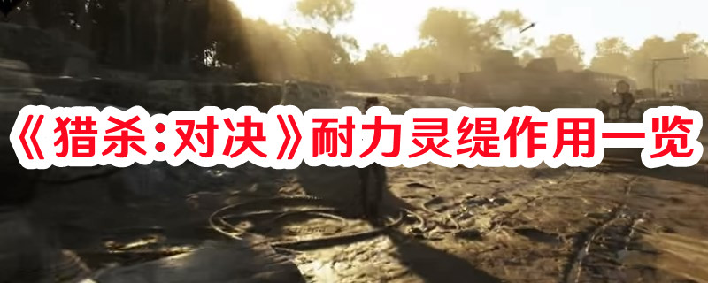 《獵殺：對決》耐力靈緹作用一覽