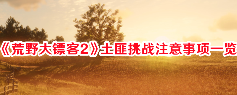 《荒野大鏢客2》土匪挑戰(zhàn)注意事項一覽