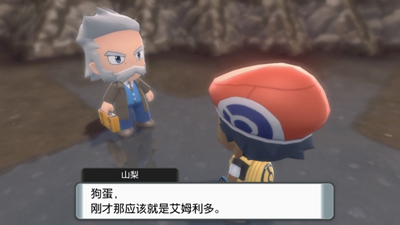 《寶可夢晶燦鉆石明亮珍珠》二周目圖文攻略流程分享