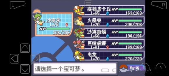 《口袋妖怪究極綠寶石5.3》四大天王打法攻略分享