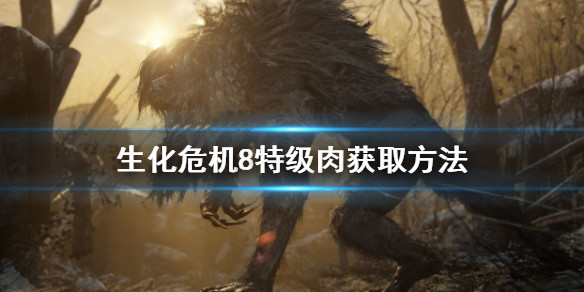 《生化危機8》特級肉獲取方式
