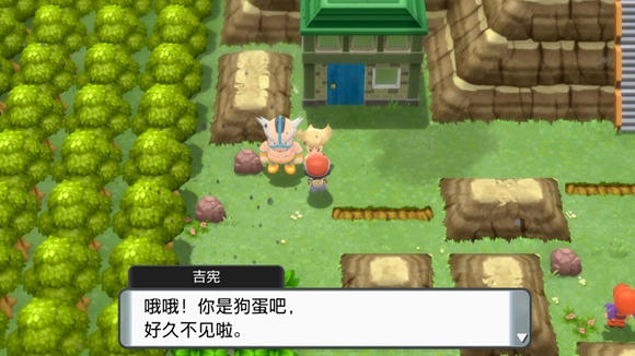 《寶可夢晶燦鉆石明亮珍珠》二周目圖文攻略流程分享