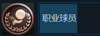 《生化危機(jī)8》隱藏成就職業(yè)球員解鎖方式