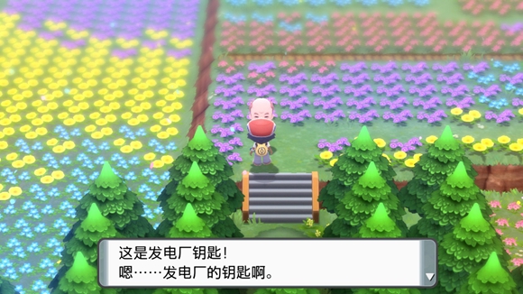 《寶可夢晶燦鉆石明亮珍珠》一周目圖文攻略分享