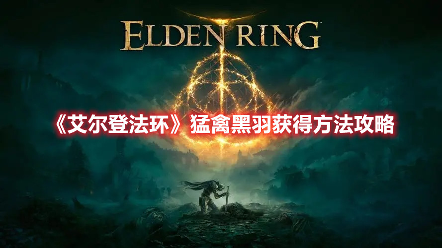 《艾爾登法環(huán)》猛禽黑羽獲得方法攻略