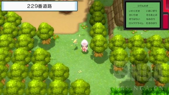 《寶可夢晶燦鉆石明亮珍珠》二周目圖文攻略流程分享