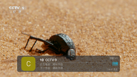 芸汐TV修改版