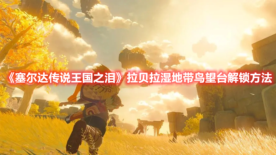 《塞爾達(dá)傳說(shuō)王國(guó)之淚》拉貝拉濕地帶鳥(niǎo)望臺(tái)解鎖方法
