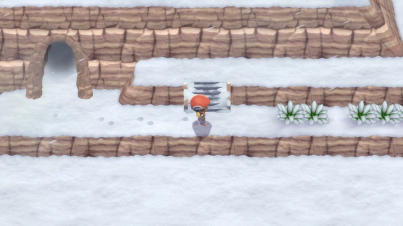 《寶可夢晶燦鉆石明亮珍珠》一周目圖文攻略分享