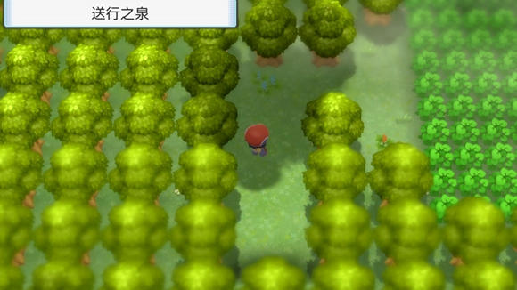 《寶可夢晶燦鉆石明亮珍珠》二周目圖文攻略流程分享