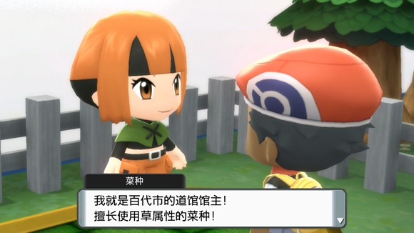 《寶可夢晶燦鉆石明亮珍珠》一周目圖文攻略分享