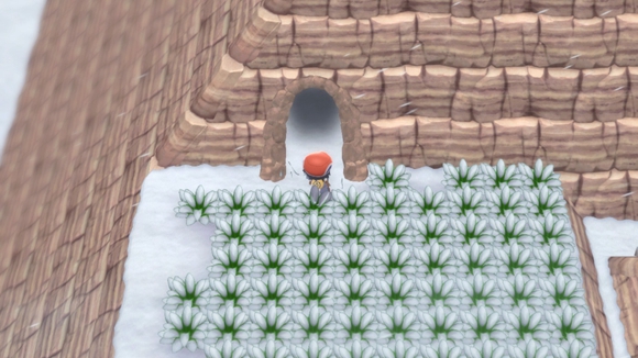 《寶可夢晶燦鉆石明亮珍珠》一周目圖文攻略分享