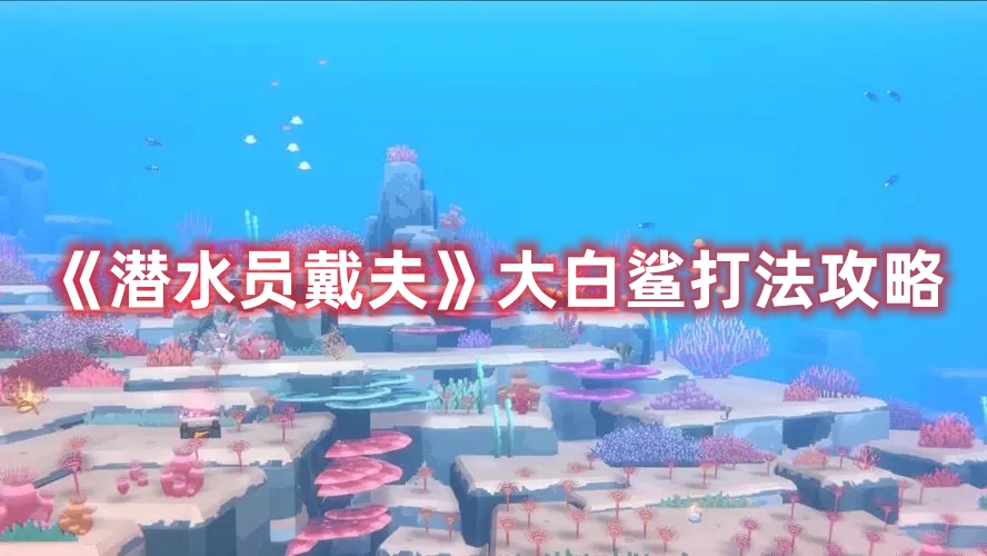 《潛水員戴夫》大白鯊打法攻略