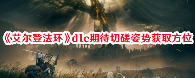 《艾爾登法環(huán)》dlc期待切磋姿勢獲取方位