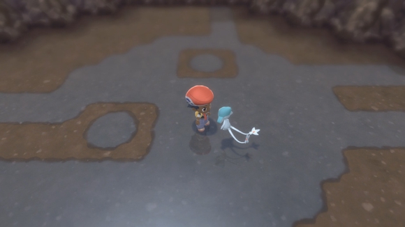 《寶可夢晶燦鉆石明亮珍珠》二周目圖文攻略流程分享