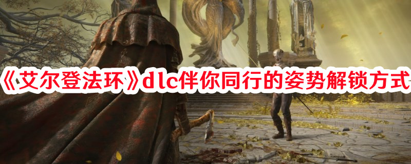 《艾爾登法環(huán)》dlc伴你同行的姿勢解鎖方式